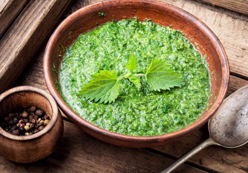 Stinging Nettles Soup Recipe