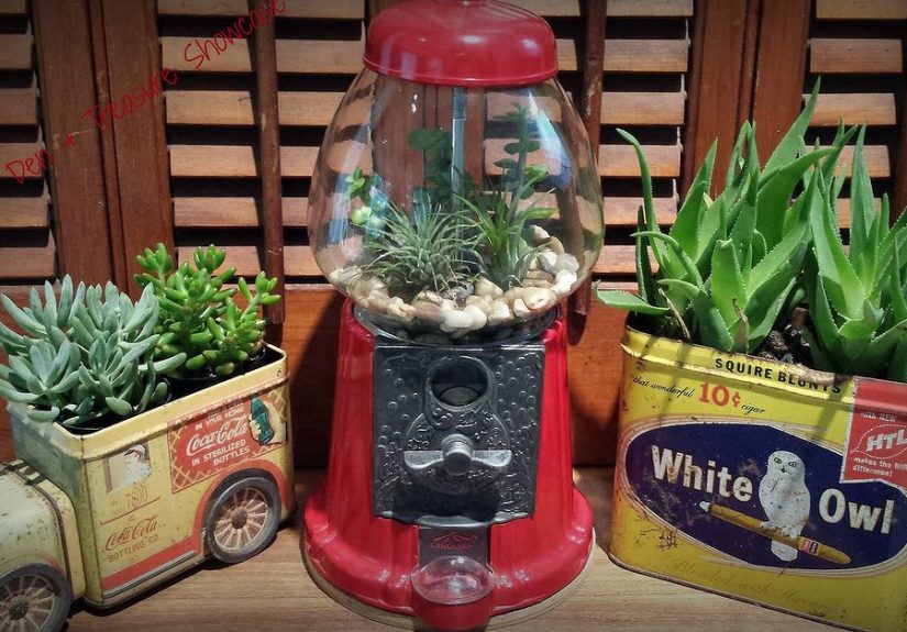Succulent Gumball Terrarium