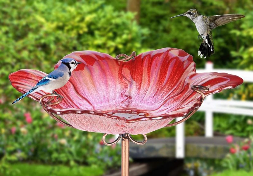 This $31 Amazon Bird Bath Doubles as a Feeder