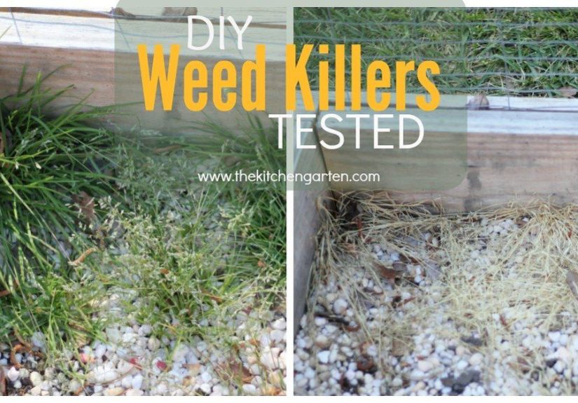 Two Tried and Tested DIY Weed Killers