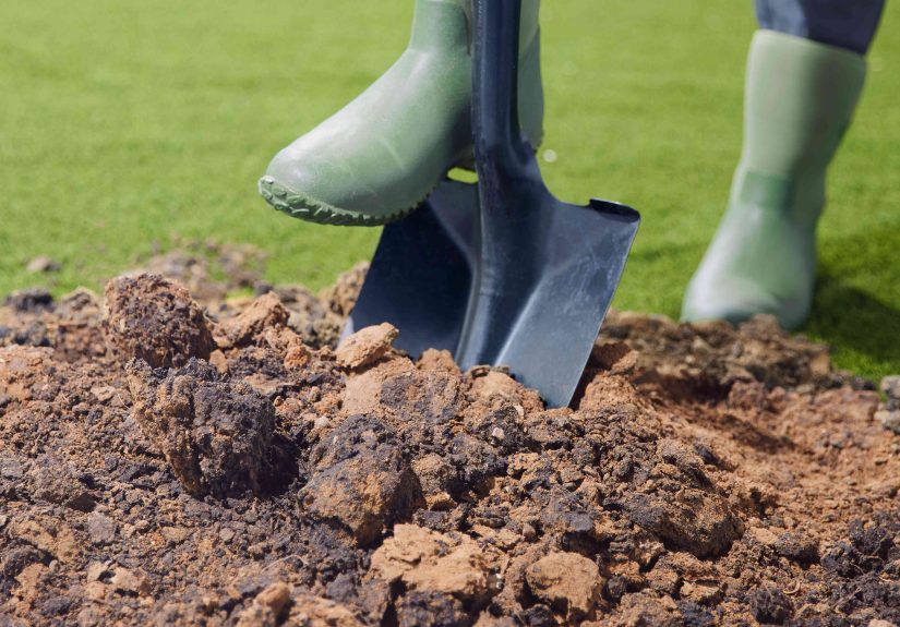 Understanding Clay Soil and How to Improve It