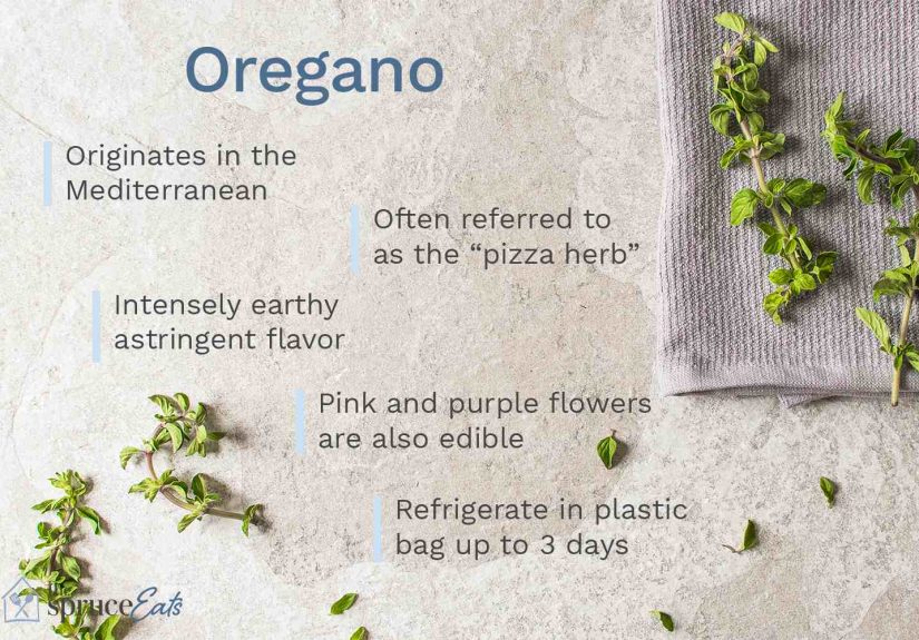 What Is Oregano?