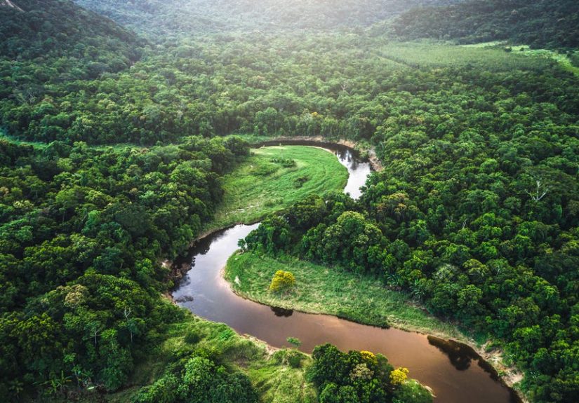 Why Is the Amazon Rainforest Important?