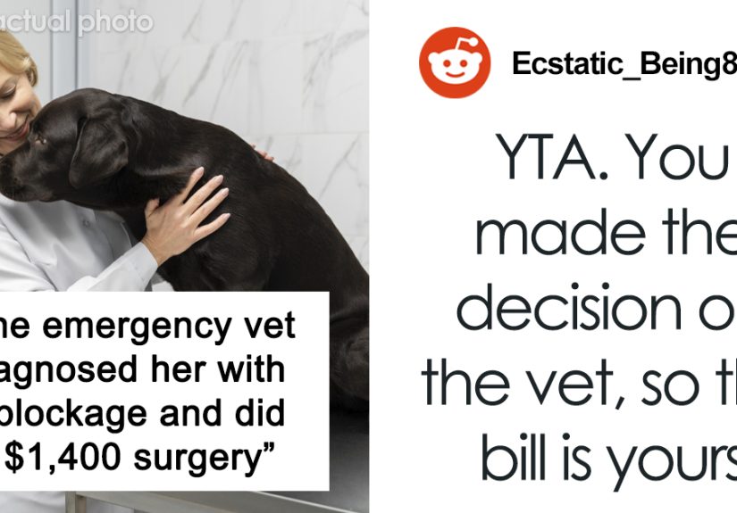 Woman Leaves Dog With Friend, Returns To A $1,400 Vet Bill, Completely Loses It