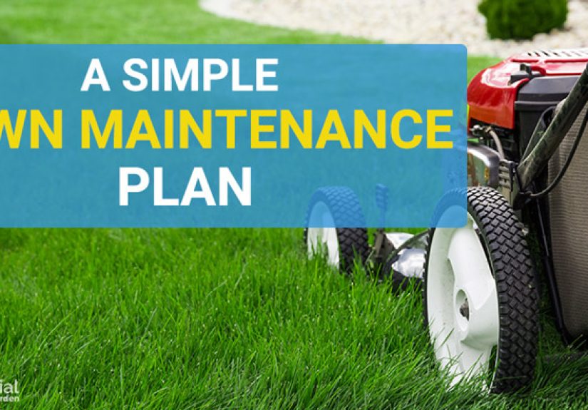 Year-Round Lawn Care Schedule - From Winter To Fall