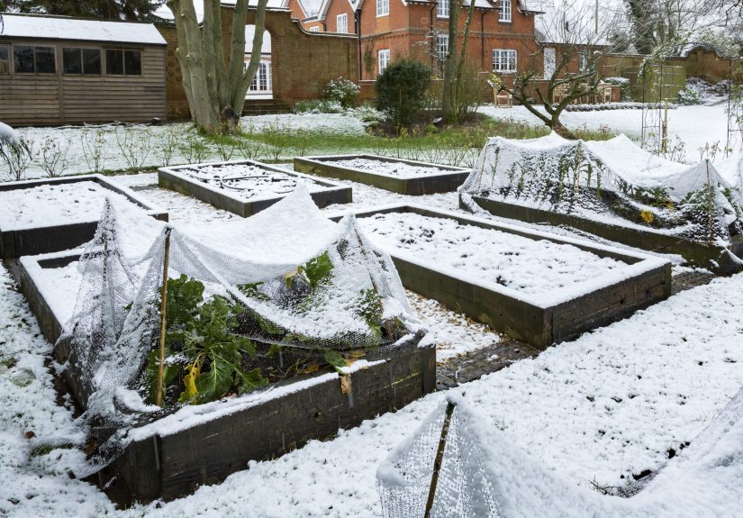 10 Tips for Winterizing Raised Garden Beds Properly