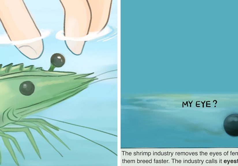 15 Comics Exposing The Sad Reality Of Many Animals On This Planet