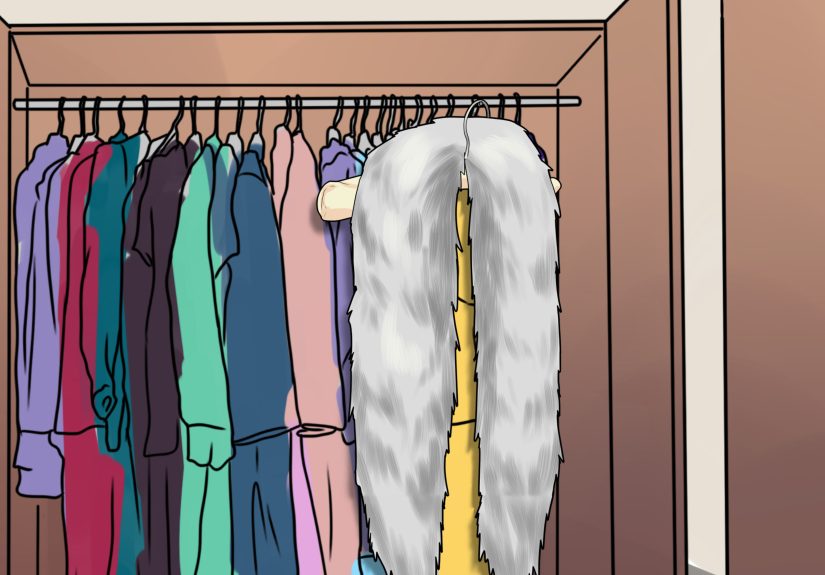 3 Ways to Clean Fur