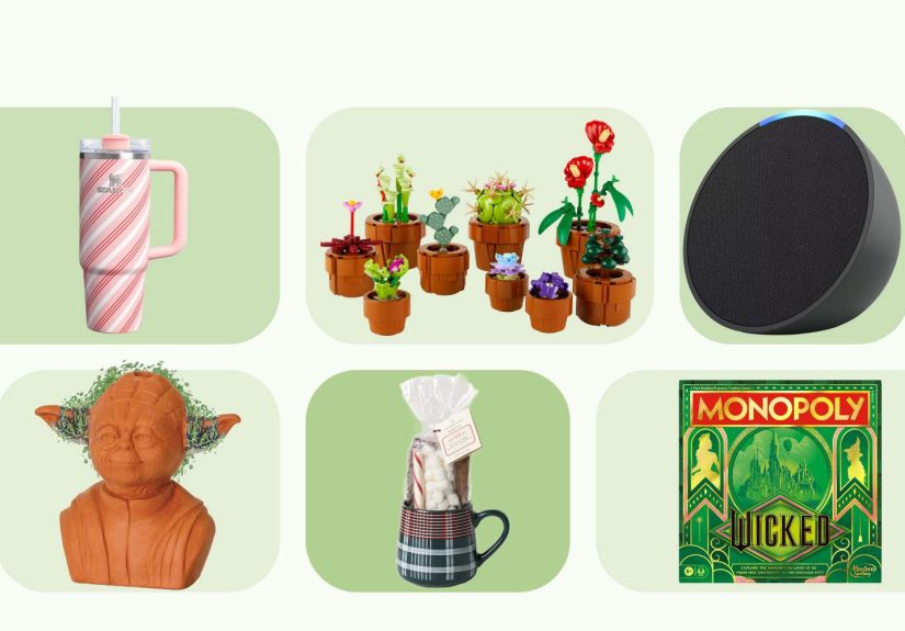 30 Target White Elephant Gift Ideas Under $50