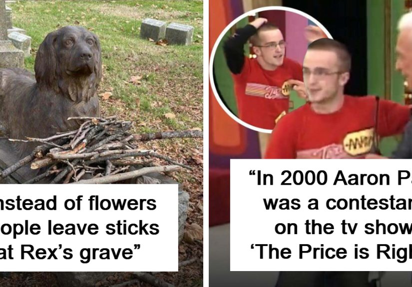 50 Facts And Curiosities More People Should Know About