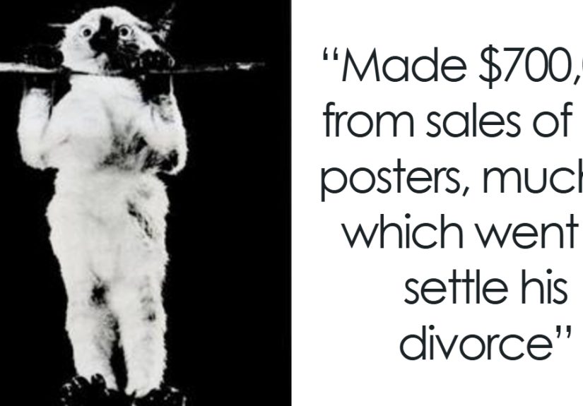 50 Times People Found Gems On Wikipedia That Were Too Funny Not To Share