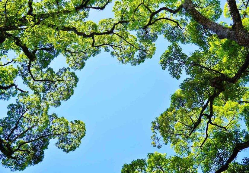 6 Ways Being in Nature Is Good for Your Health, According to an Environmental Neuroscientist