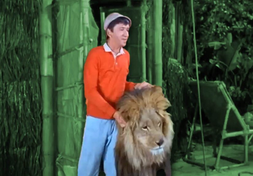 A Lion Almost Killed Bob Denver on This ‘Gilligan’s Island’ Episode