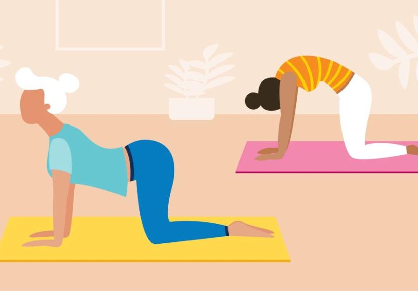 Cat-Cow Stretch: How To Do It and Benefits