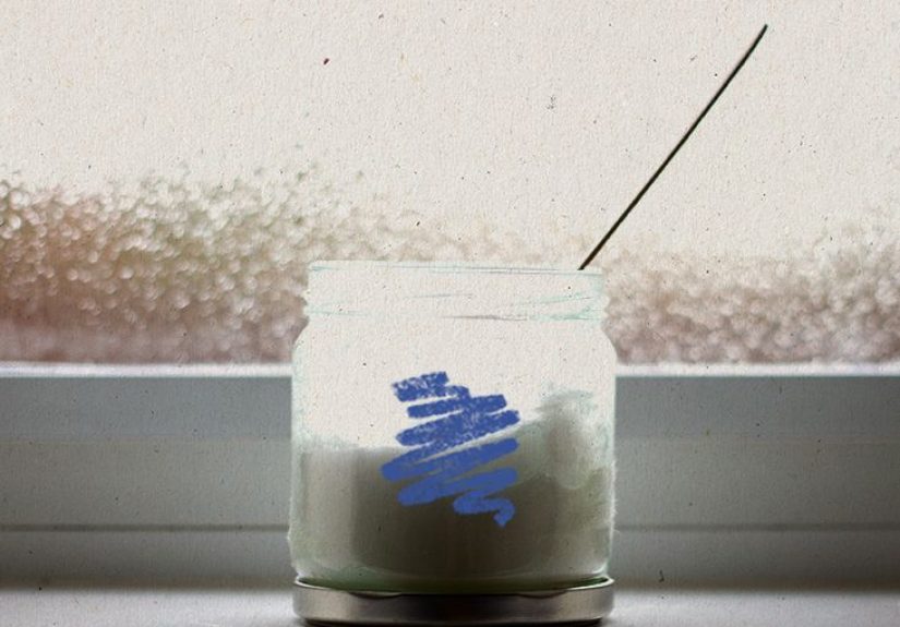 Coconut Oil Pulling: Steps to Follow, Research, Pros and Cons
