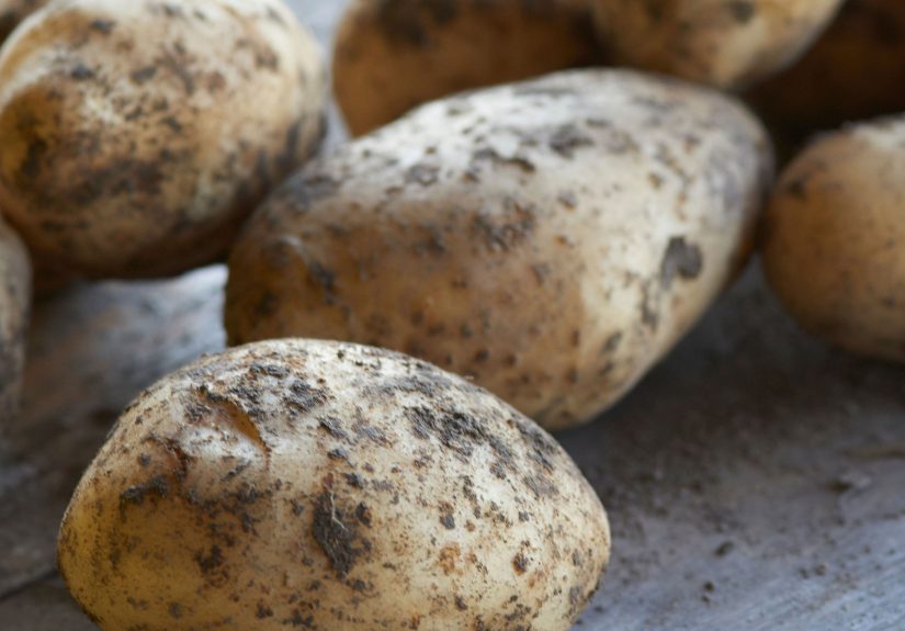 Cure Homegrown Potatoes in 3 Easy Steps So They Keep All Winter