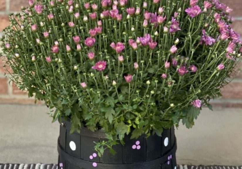 DIY Painted Flower Basket