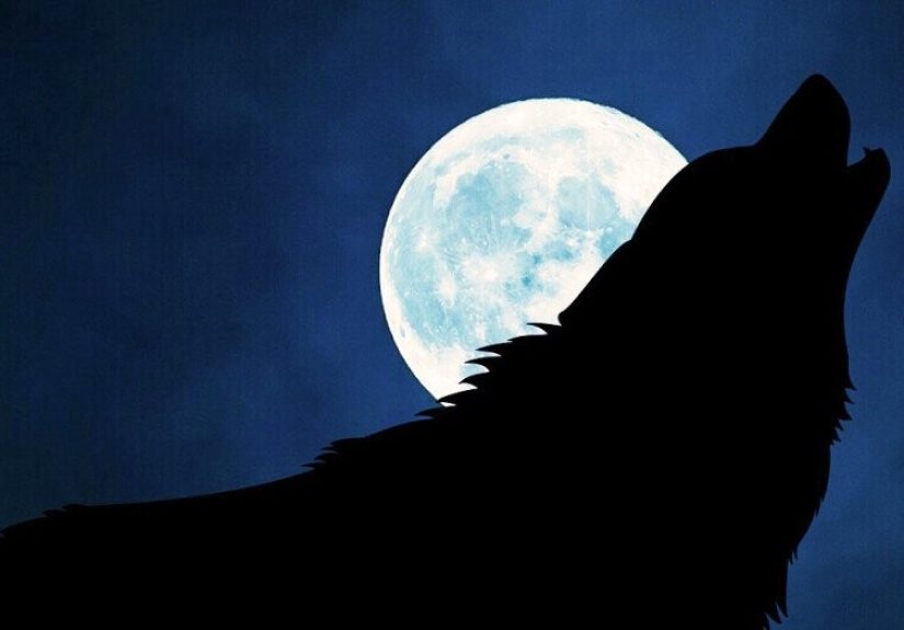 Give Us John Steinbeck's Werewolf Pulp Fiction, Cowards