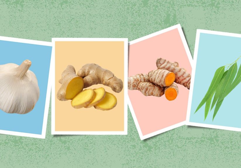 Herbs for Asthma Relief: Do They Work?