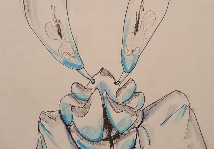 Hey Pandas, Draw A Spooky Scary Skeleton For Me