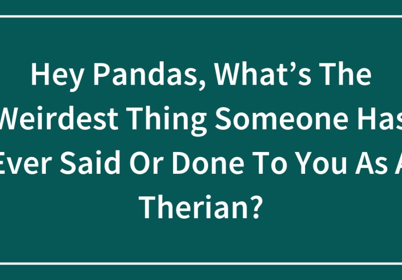 Hey Pandas, What’s The Weirdest Thing Someone Has Ever Said Or Done To You As A Therian?