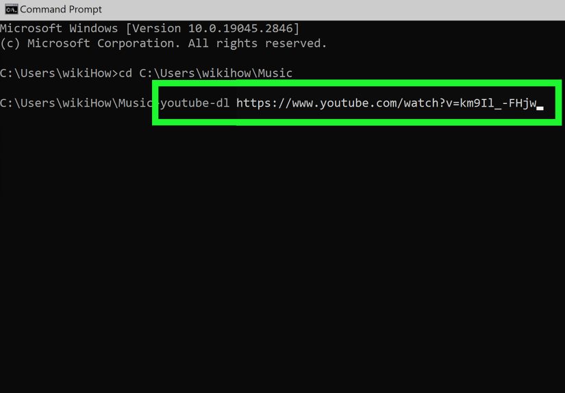 How to Download Streaming Videos: Best Methods