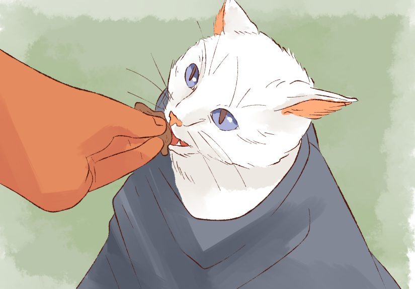 How to Give Cats Liquid Medicine: 8 Steps