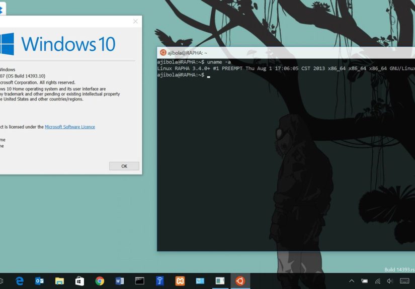 How to Install and Setup BASH on Windows 10