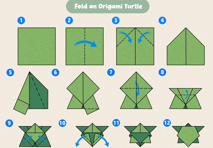 How to Make an Origami Turtle