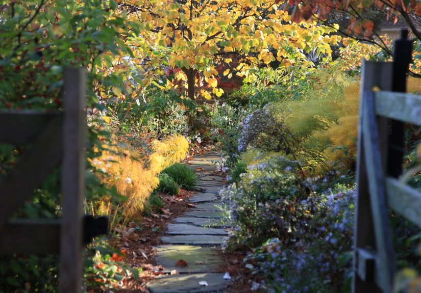 Meanwhile, On Gardenista: Shoulder Season