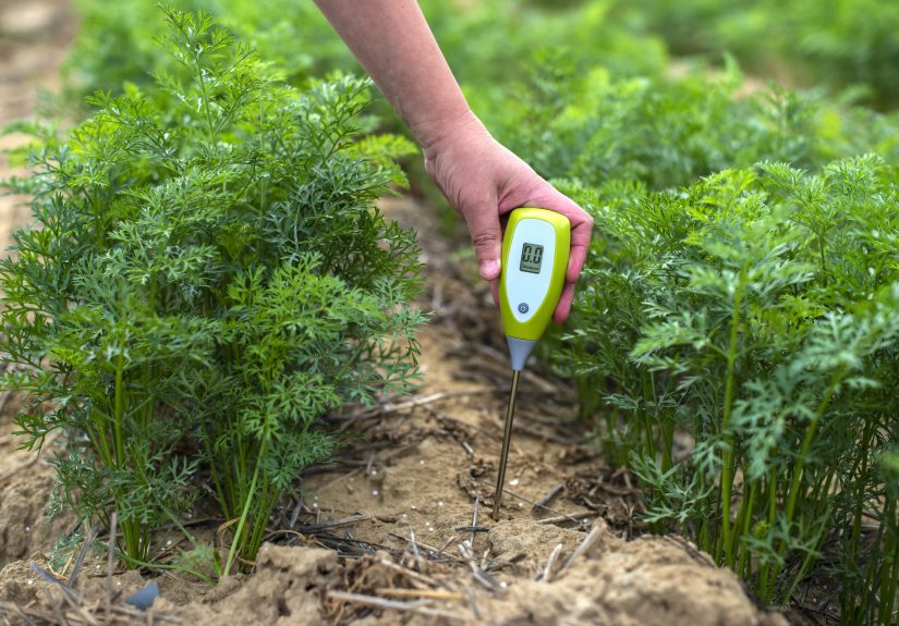 Most Gardeners Don’t Test Their Soil Often EnoughHere’s When You Should