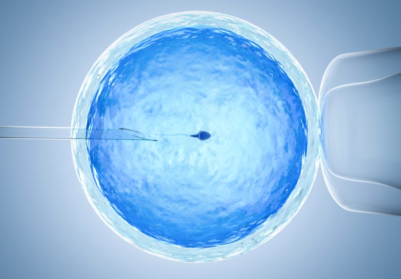 Normalizing infertility conversations in the workplace