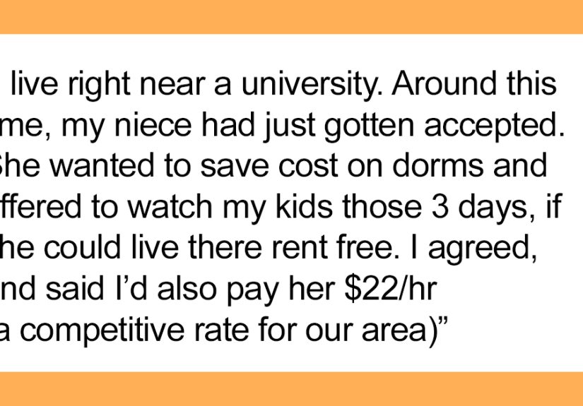 People Online Show Support For Single Mom After She Tells Niece To Move Out As She's No Longer Her Nanny