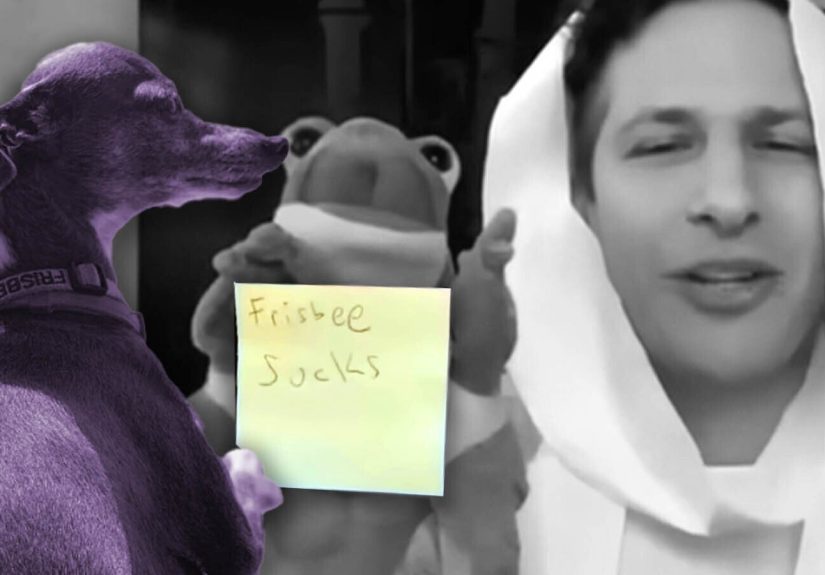 RIP Frisbee: Here’s Why Andy Samberg Hated Seth Meyers’ Dog