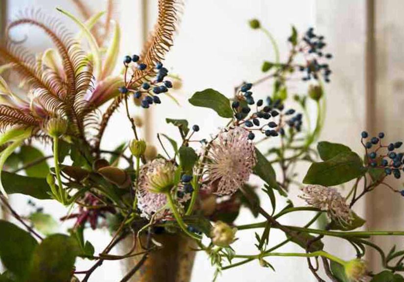 Table of Contents: Spring Awakenings