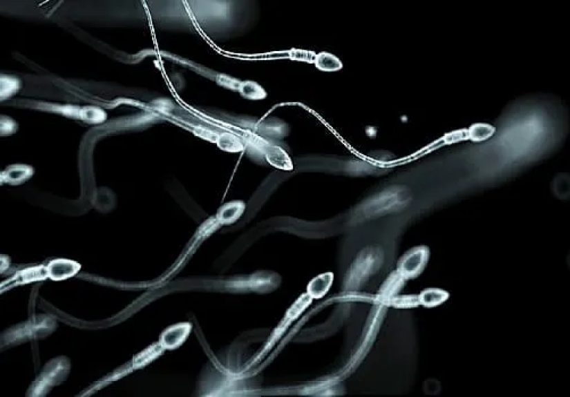 Test Your Knowledge About Semen