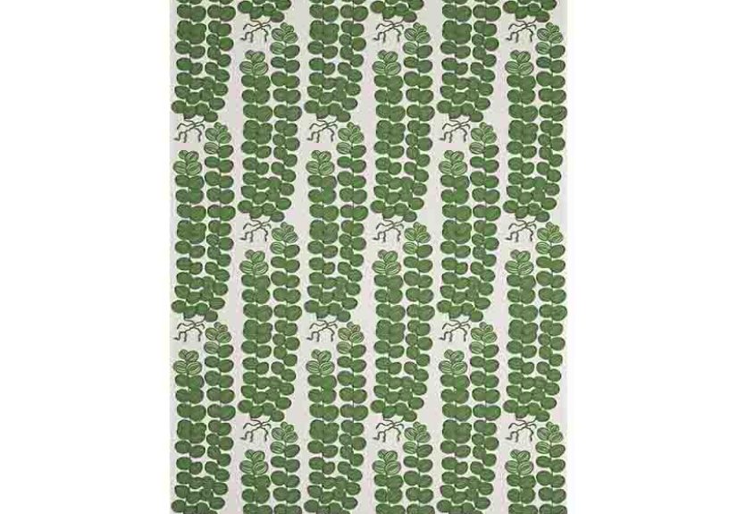 Textile Celotocaulis