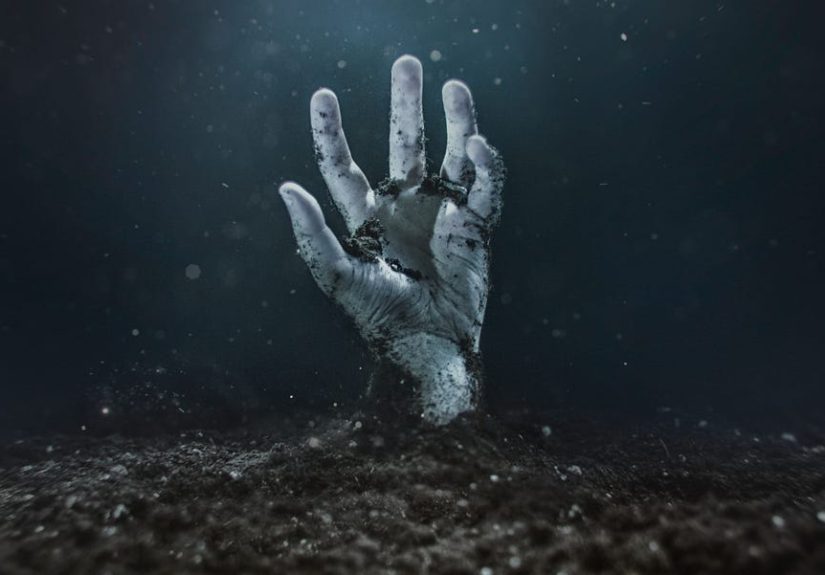The Best Zombie Movies