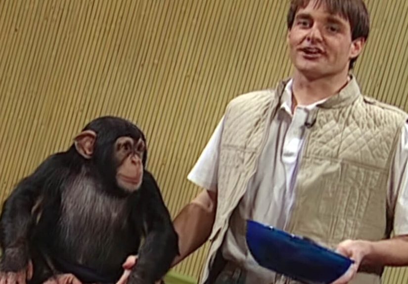 The Chimp That Caused Backstage Havoc At ‘Saturday Night Live’