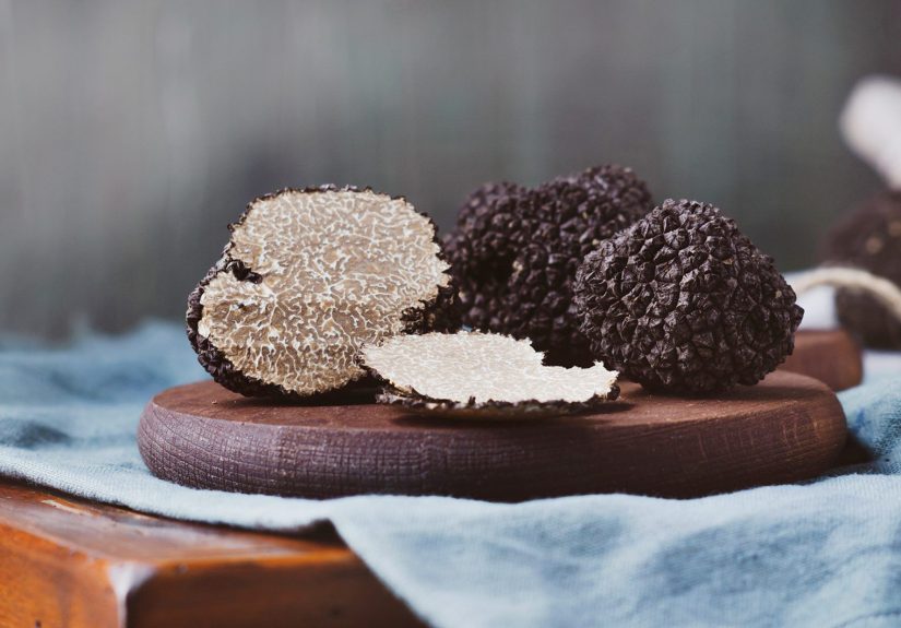What Is a Truffle Mushroomand Why Are They So Expensive?