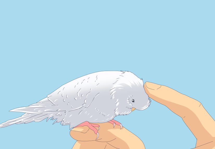 Why Do Animals Like Being Pet? 4 Scientific Reasons