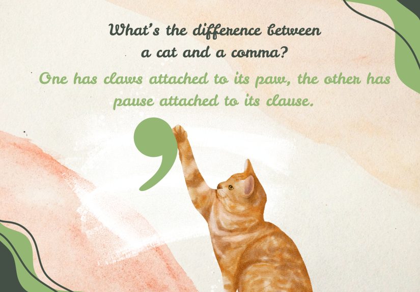 115+ “What’s the Difference Between” Jokes for Adults & Kids