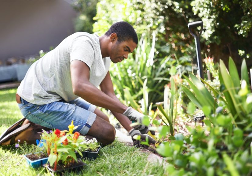 32 Inspiring Flower Bed Ideas for Yards of Any Size