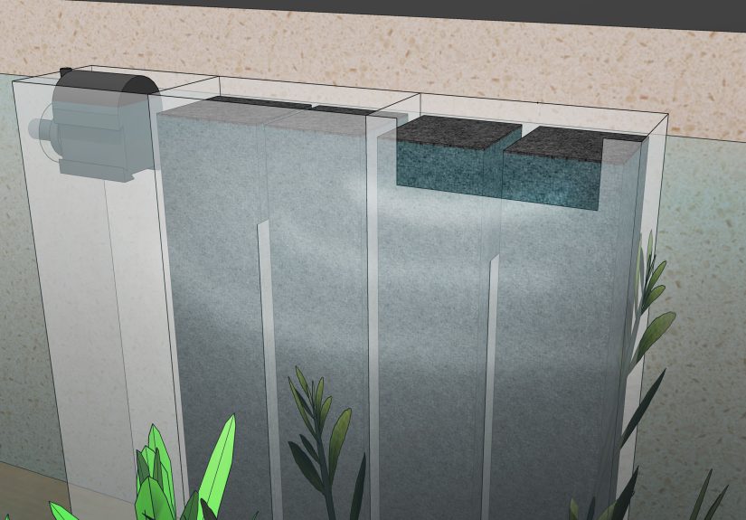 4 Ways to Feed a Betta Fish Peas