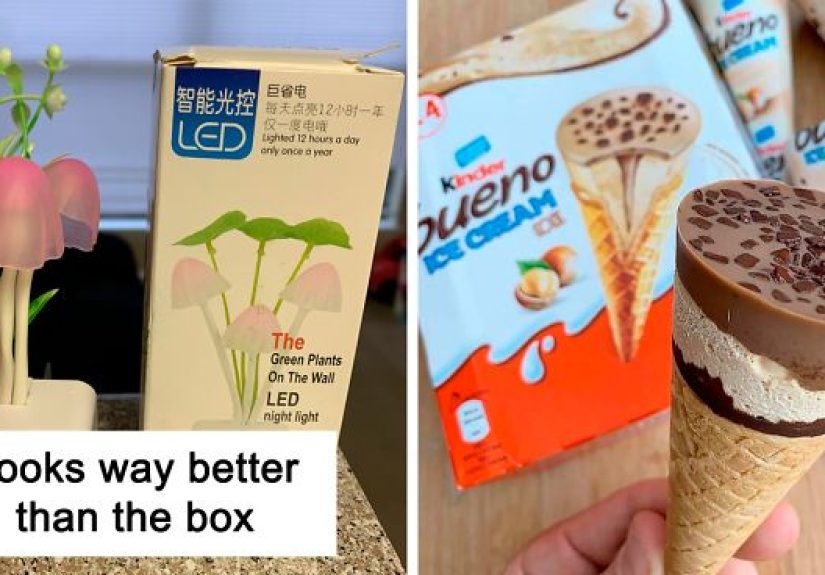 50 Genuinely Great ‘Expectation Vs. Reality’ Posts Where The Results Exceeded The Expectations