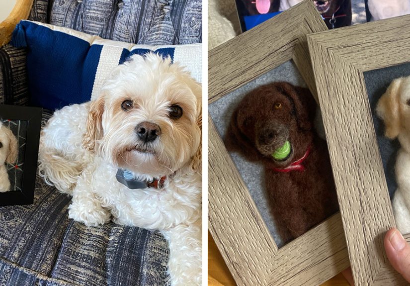 Anneli Kirby Turns Wool Into Three-Dimensional Dog Portraits, And Here Are Her 37 Best Works