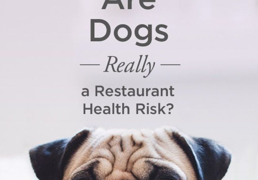 Are Dogs Really a Restaurant Health Risk?