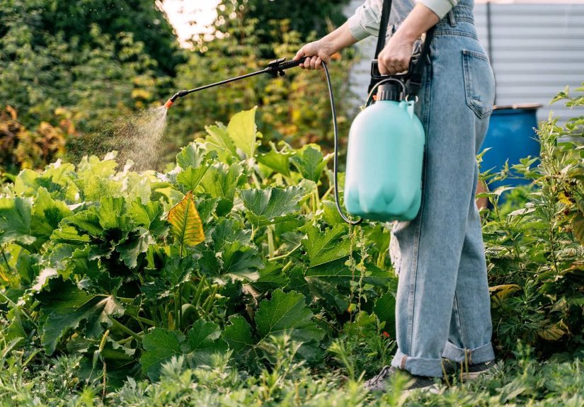 Health Risks of Glyphosate Herbicide
