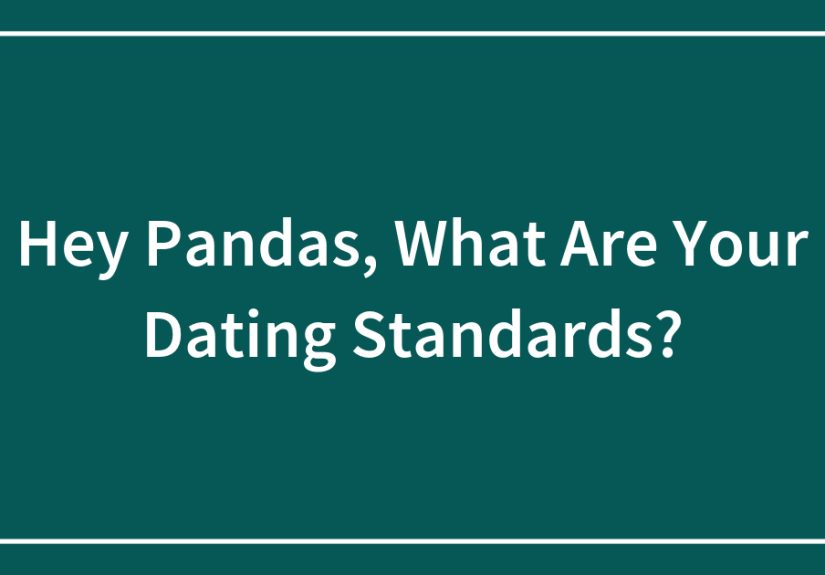 Hey Pandas, What Are Your Dating Standards?