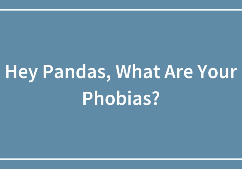 Hey Pandas, What Are Your Phobias?